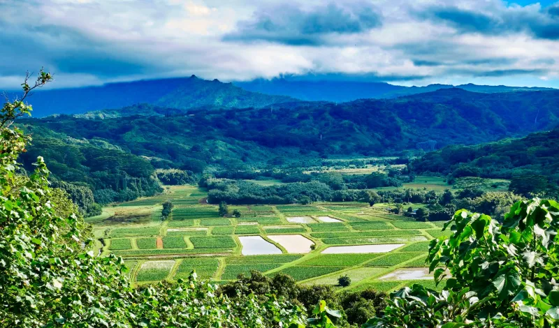 Forget the Future: How Molokai's Oldest Habits Are the Most Revolutionary Thing You'll Ever Try